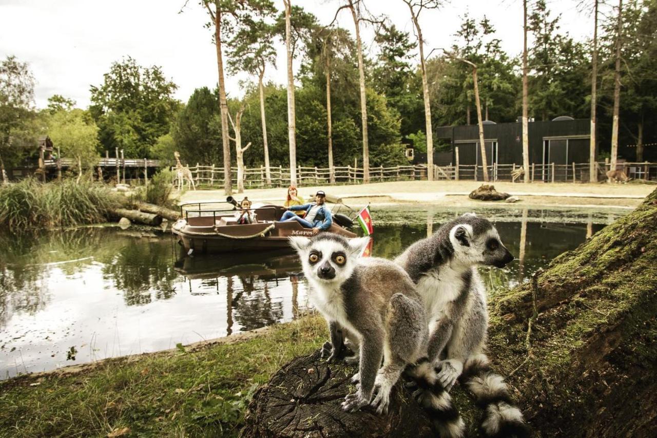 Www Huis Op De Veluwe Nl Nunspeet Dış mekan fotoğraf